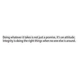 Vinyl Wall Quote – 