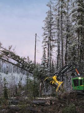 M-Series Feller Bunchers – 953M