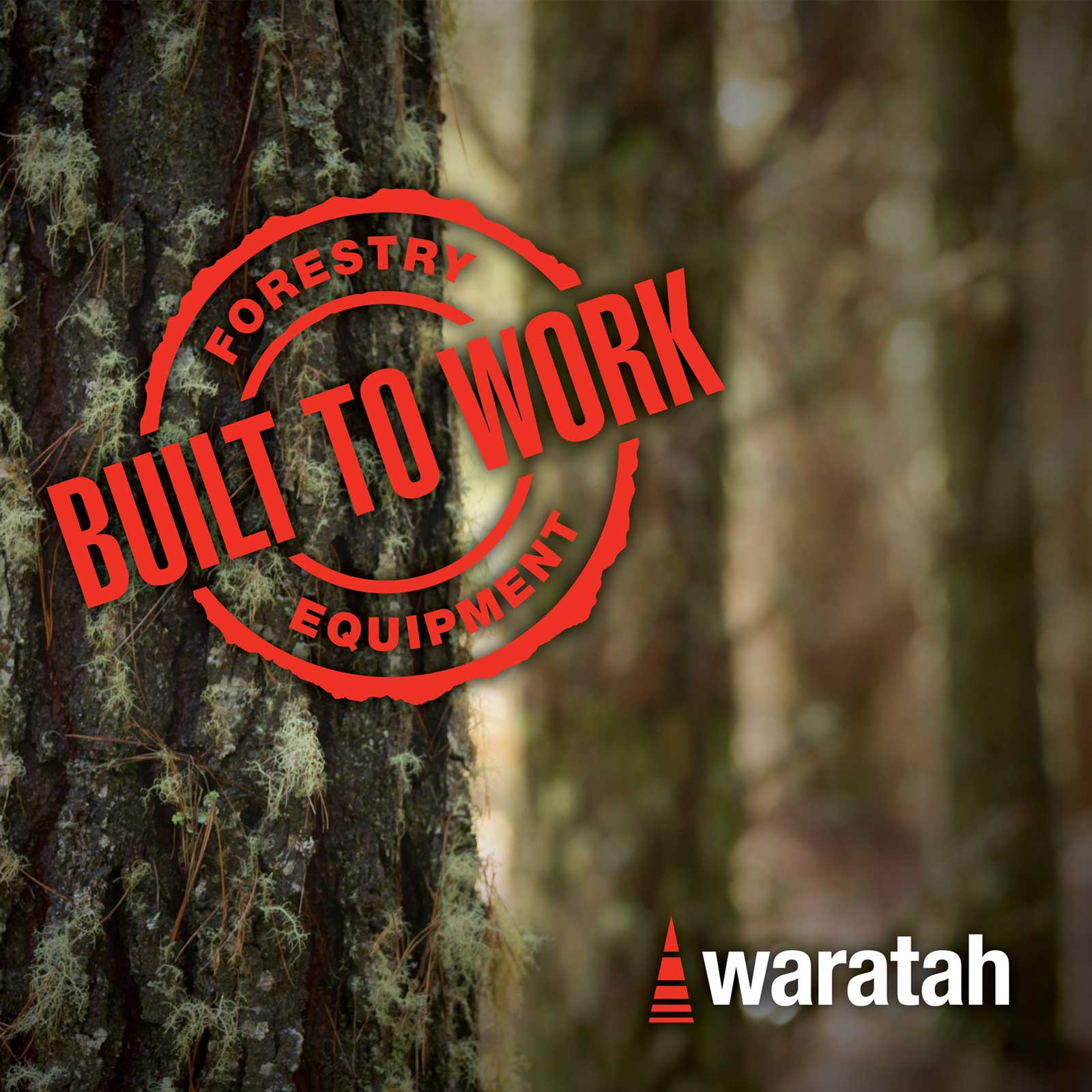 Brand Poster – Waratah